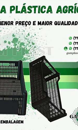 caixa agrícola hortifruti caixa agrícola hortifruti