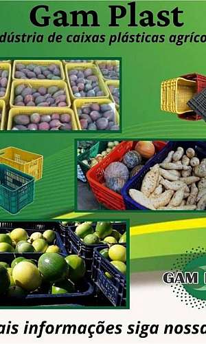 caixa agrícola plástica caixa agrícola plástica