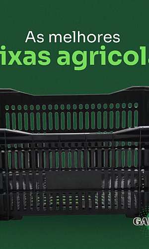 caixa plástica hortifruti caixa plástica hortifruti