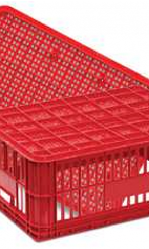 Caixa plástica para hortifruti Caixa plástica para hortifruti