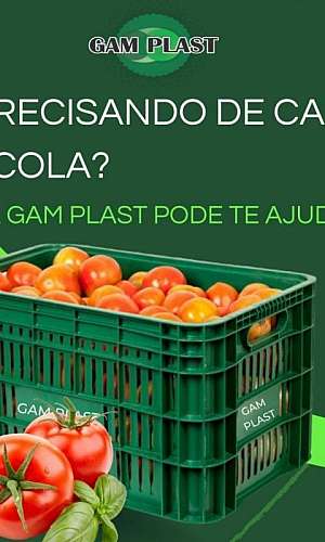 caixas para transporte de frutas e verduras caixas para transporte de frutas e verduras