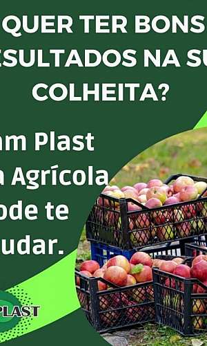 caixote de frutas plástico caixote de frutas plástico