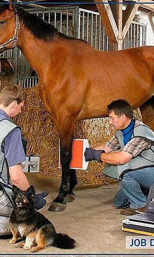 Equipamento digital de raio x preço	 Equipamento digital de raio x preço