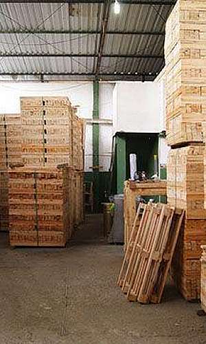 fabricante de pallet de madeira fabricante de pallet de madeira