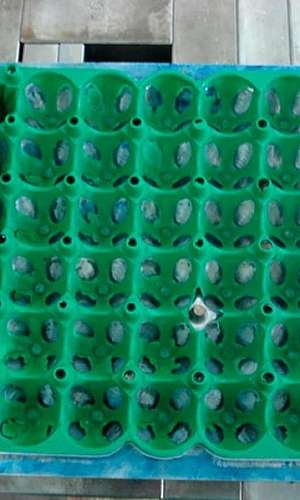 Injeção de plásticos empresas Injeção de plásticos empresas